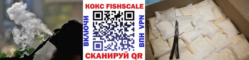 купить наркотик  Дятьково  Кокаин Fish Scale 