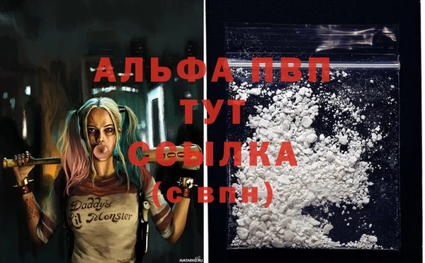 PSILOCYBIN Абаза