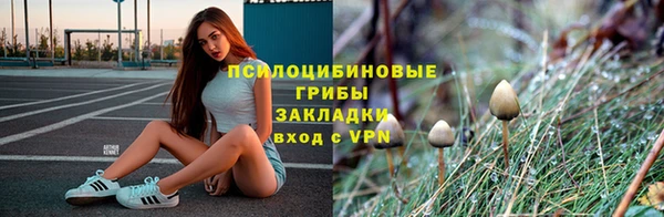 PSILOCYBIN Абаза