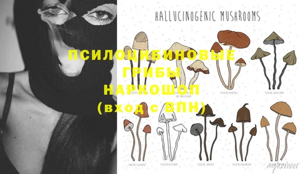 прущая мука Абдулино