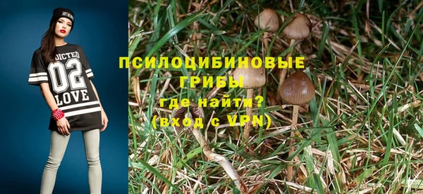 мдпв Покров