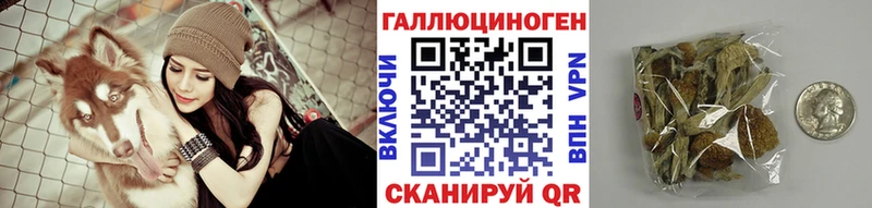 ссылка на мегу ТОР  Дятьково  Псилоцибиновые грибы Psilocybine cubensis 